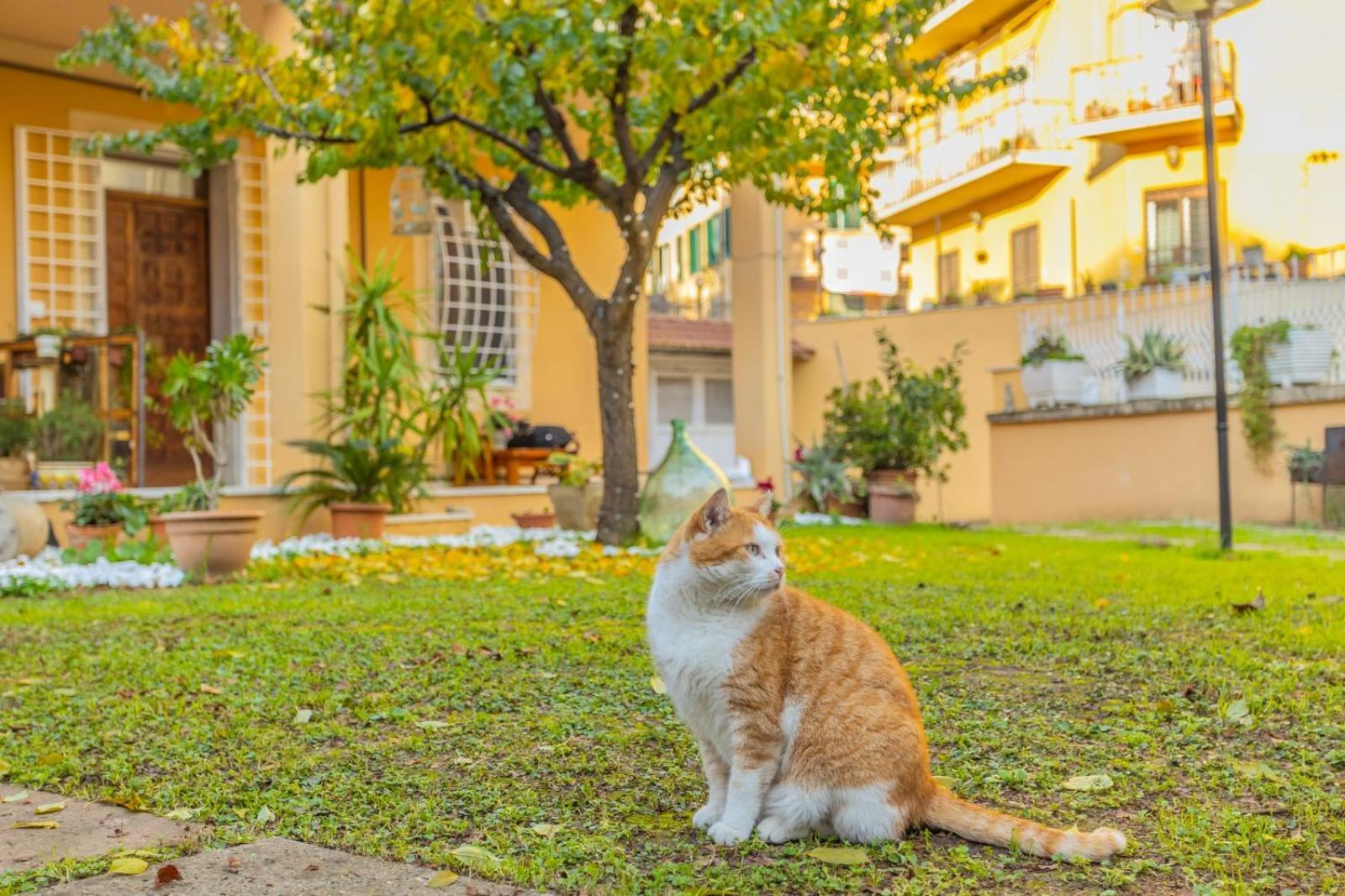 Villa Gatta Róma Kültér fotó